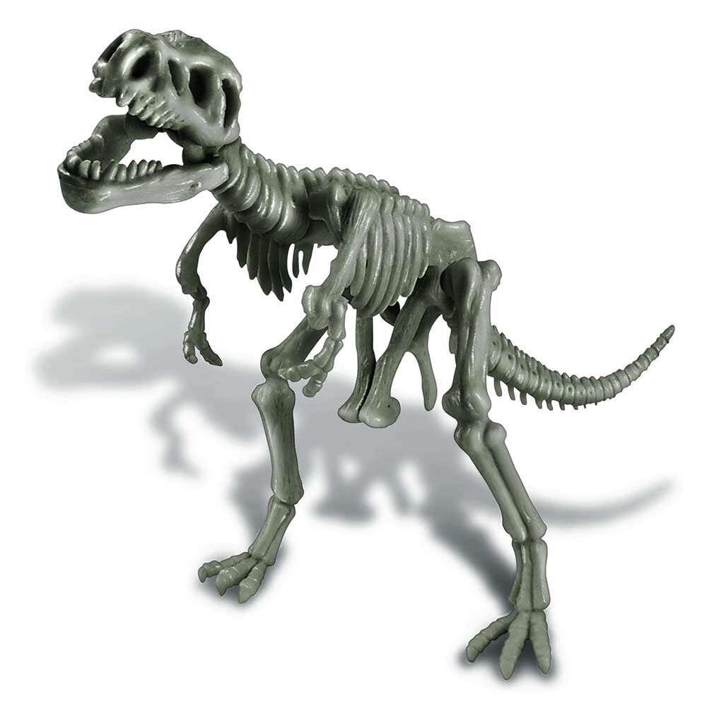 FM221_3.jpg