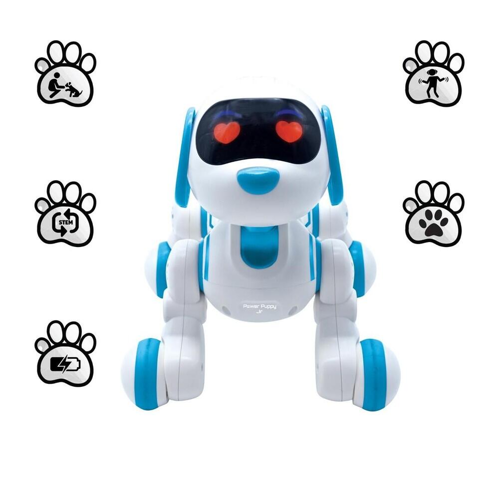 PUP01_2.jpg