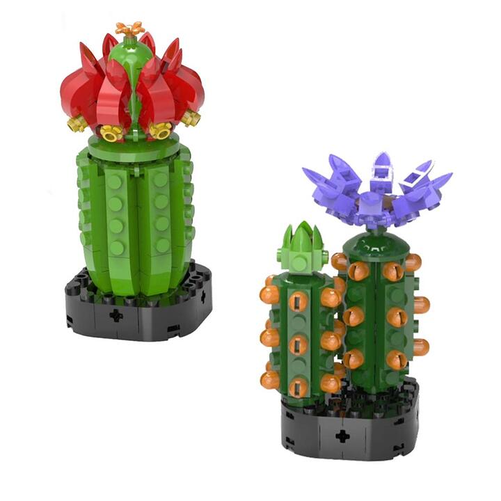 Set bloques Cactus 2 diseños 102/129 pcs en display box 12/96