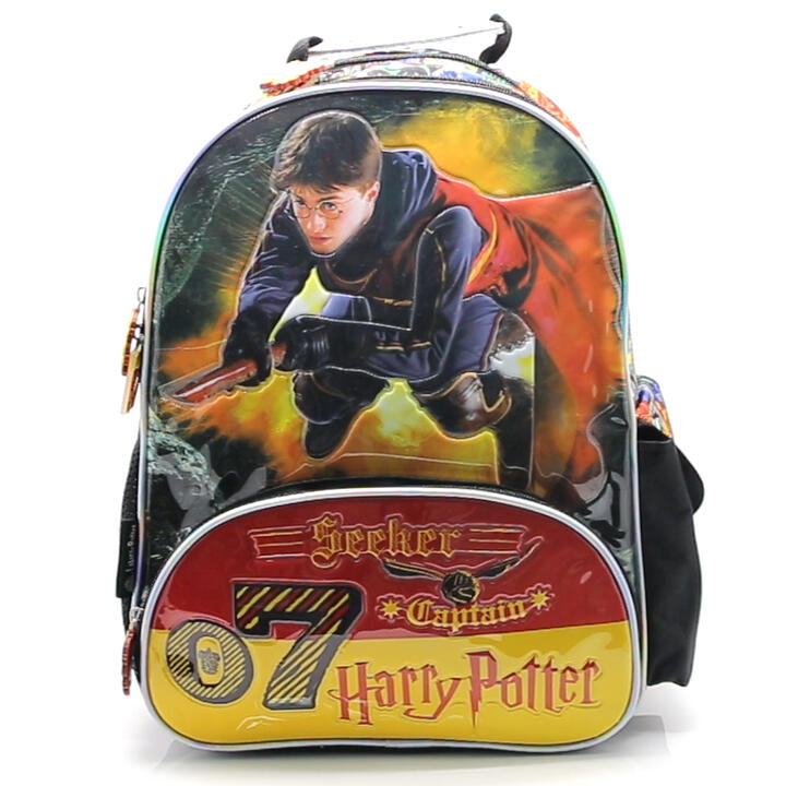 Mochila 16" / 17,5 L espalda 3/24